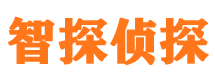 宁城市私人侦探